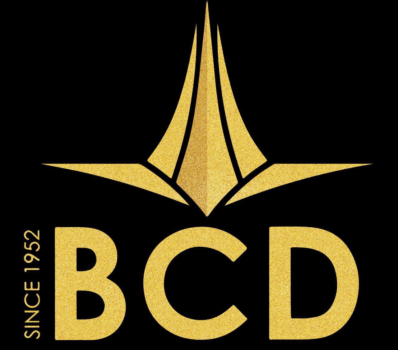 logo Bcd group